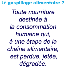 Le gaspillage alimentaire ? Toute nourriture destinée à la consommation humaine qui, à une étape de la chaîne alimentaire, est perdue, jetée, dégradée.