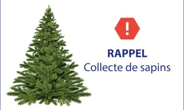 RAPPEL : Collecte des sapins