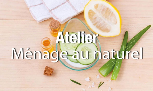 ATELIER DE FABRICATION DE PRODUITS MENAGERS NATURELS